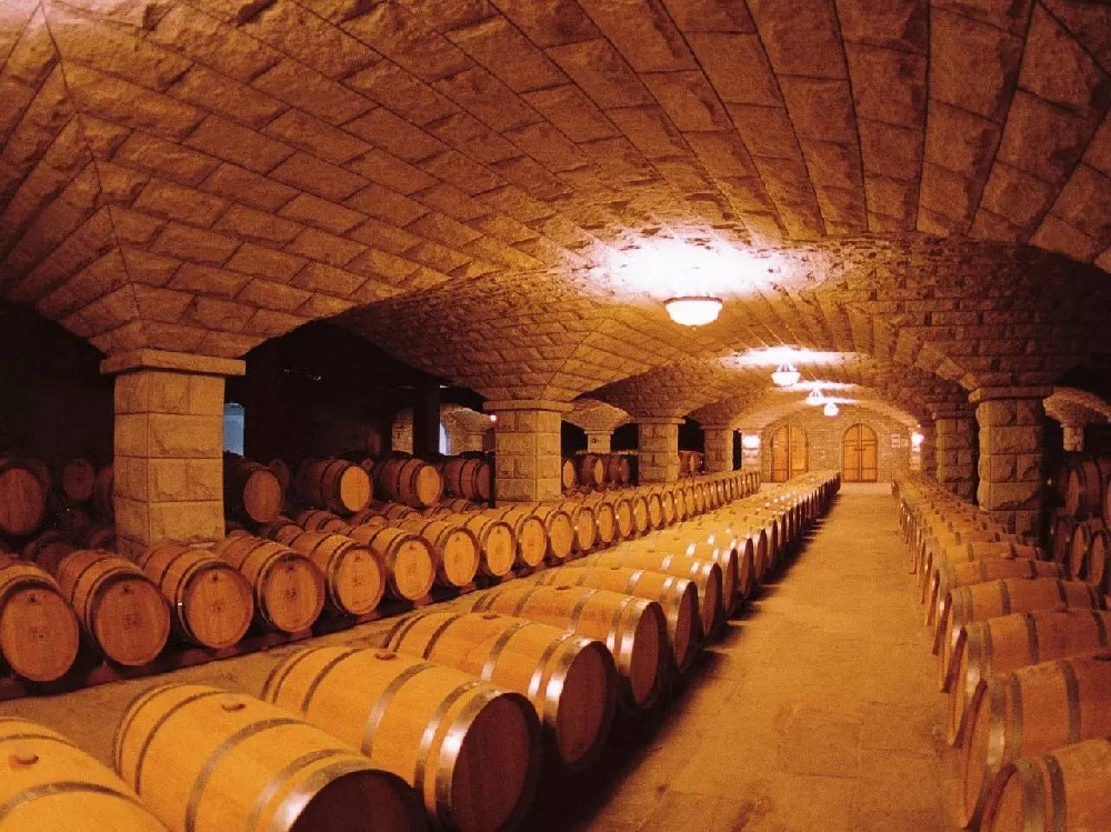 Italian wine exports up